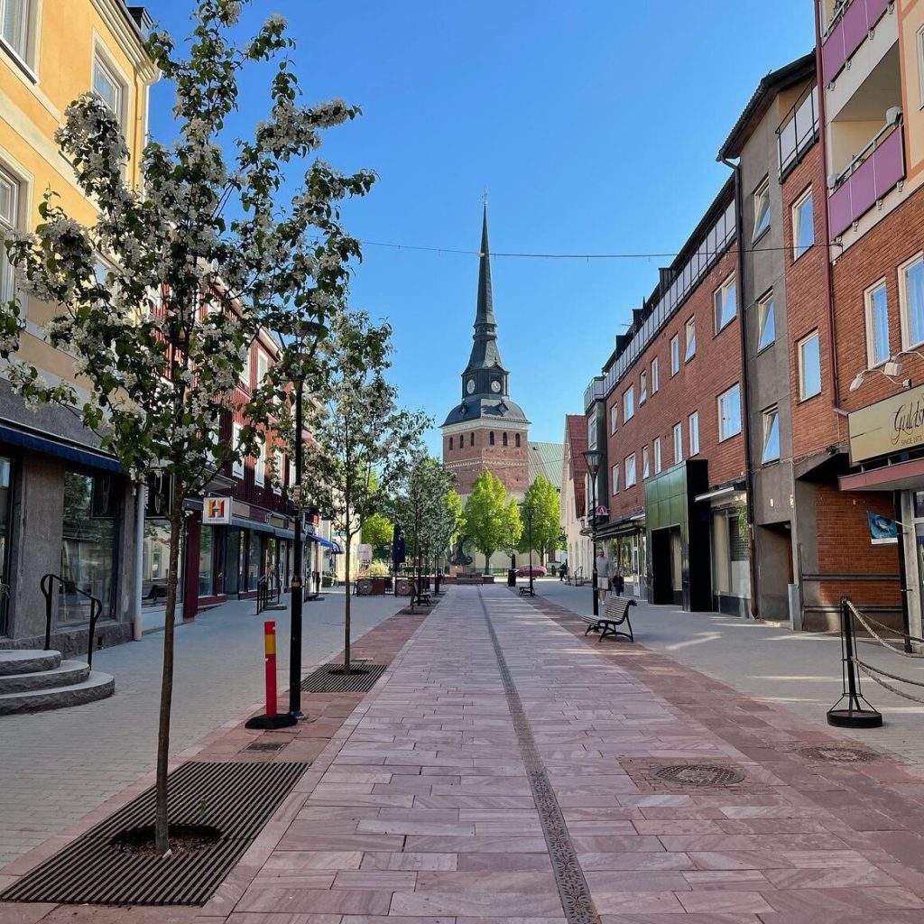 Älvdalskvartsit årets sten 2025